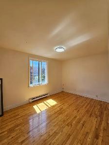 Spacious 3 1/2 apartment near the Jewish General Hospital (JGH) - Photo 4