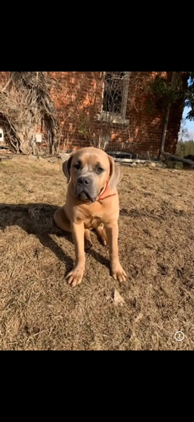 looking for a new home