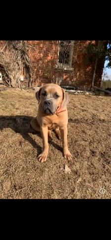 looking for a new home