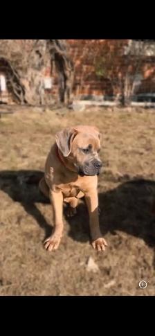 looking for a new home - Photo 2