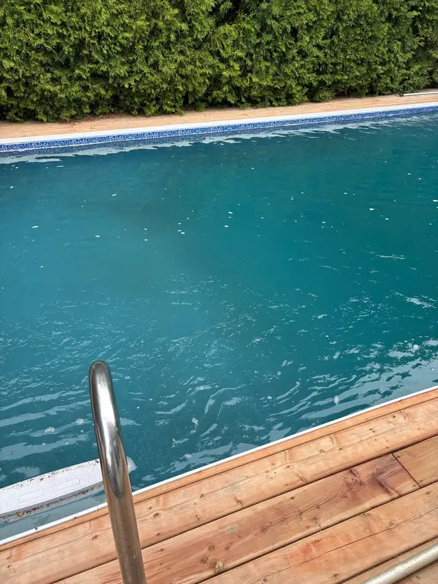Looking for Pool guy