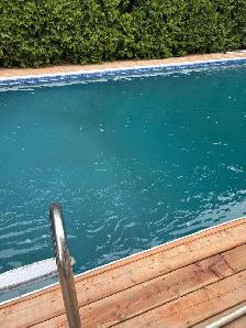 Looking for Pool guy