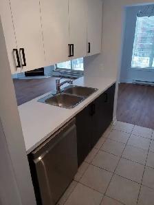 4.5 Condo Centropolis Across Carrefour Laval - Photo 6