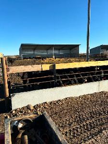 Beef Cattle Herdsperson - Photo 6