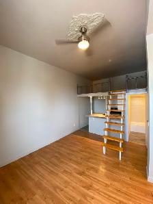 Studio Bachelor Apartment in Corktown - Photo 3