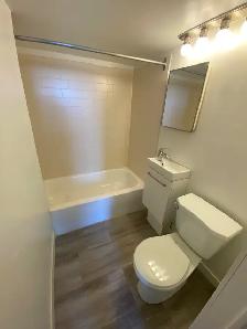 Studio Bachelor Apartment in Corktown - Photo 4