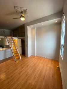 Studio Bachelor Apartment in Corktown - Photo 5
