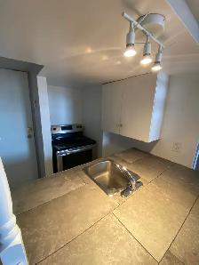 Studio Bachelor Apartment in Corktown - Photo 6