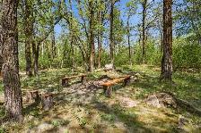 Summer Oasis 1 hour North of Winnipeg! - Photo 28