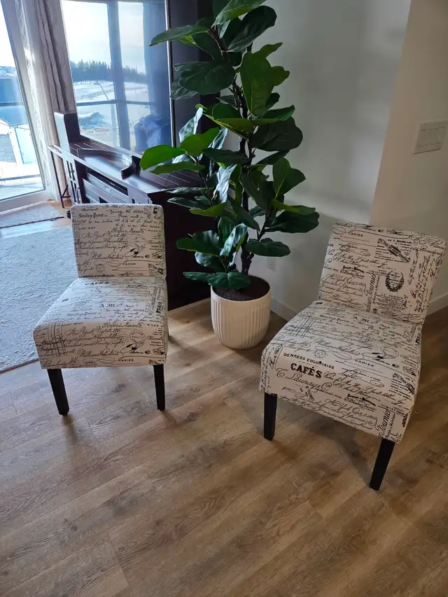 2 Accent Chairs