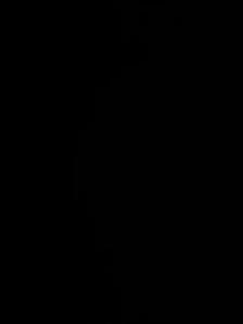 Joba advertisement