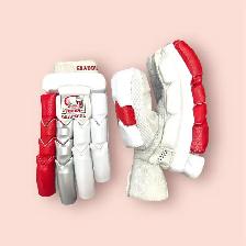 Cricket Equipment – Helmets, Balls, Stumps & Accessories - Photo 2