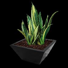 SALE! FOR $3 - SILVER AND BLACK PLANTER - Photo 2