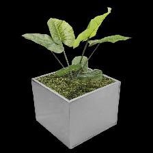 SALE! FOR $3 - SILVER AND BLACK PLANTER