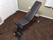 workout bench and dumbbells - FREE