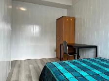 ONE BEDROOM WALKOUT BASEMENT IN EAST YORK - Photo 8