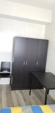 ONE BEDROOM WALKOUT BASEMENT IN EAST YORK - Photo 9