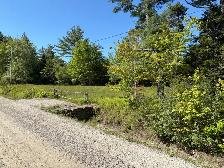 The Woodland (24.5 acres) - Photo 2