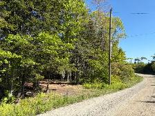 The Woodland (24.5 acres) - Photo 3