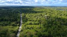 The Woodland (24.5 acres) - Photo 9
