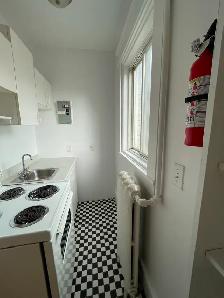 Nice bachelor with balcony -Centretown -Available September 1st! - Photo 6