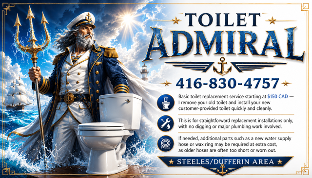Toilet Replacement
