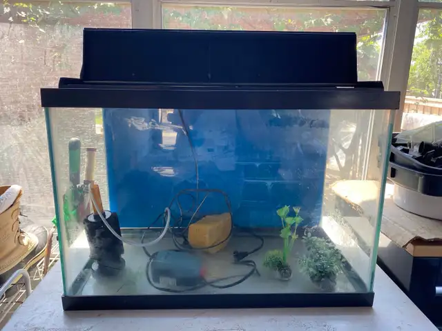 10 Galon fish tank with canopy