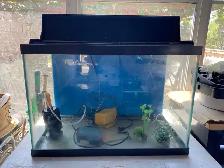 10 Galon fish tank with canopy