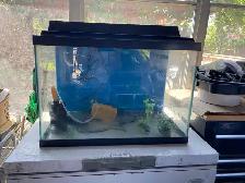 10 Galon fish tank with canopy - Photo 2