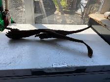 10 Galon fish tank with canopy - Photo 4