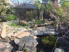 Flagstone - Photo 5
