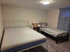 1 bed 1 bath house