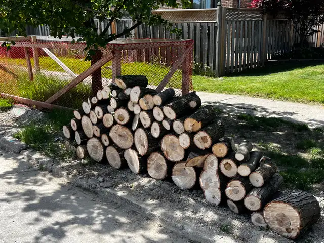 Free Firewood