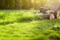 LAWN MOWING - Photo 2