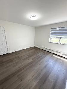 1 bedroom 1 bathroom renovated apartment in Stouffville, ON - Photo 7