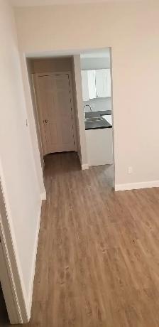 SOHO Downtown 1-Bedroom Apt. $1295/month, July or August. 1st - Photo 7