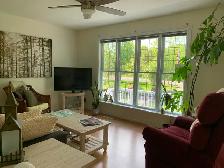 Unique Opportunity for Rural Living in Muskoka - Photo 8