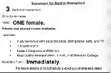 Basement room for rent