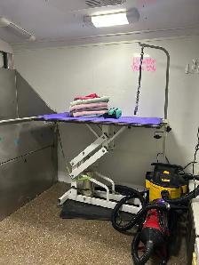Mobile Dog Grooming - Photo 2