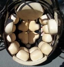 MYERS RIDERS Football Helmets (Decommissioned) - Photo 7