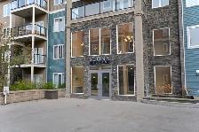 2 Bed, 2 Bath Condo for Lease in Edmonton available August 1st