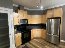 2 Bed, 2 Bath Condo for Lease in Edmonton available August 1st - Photo 4