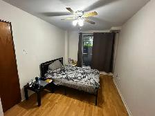 Appartement Bachelor 2 1/2 Hochelaga MÉTRO PRÉFONTAINE - Photo 5