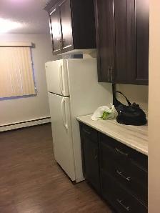 Jan Ann Apartments - 1 & 2 BR's Available - Photo 4