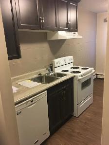 Jan Ann Apartments - 1 & 2 BR's Available - Photo 5