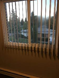 Jan Ann Apartments - 1 & 2 BR's Available - Photo 9
