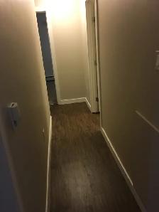 Jan Ann Apartments - 1 & 2 BR's Available - Photo 12