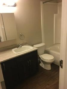 Jan Ann Apartments - 1 & 2 BR's Available - Photo 13