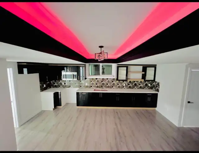 Basement for Rent in Fraser by Manning