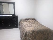 A beautiful bright walkout basement for rent from 01July. - Photo 15